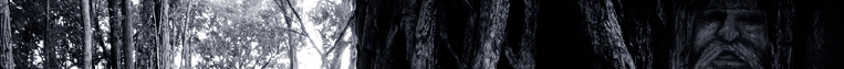 Curious Stories Images